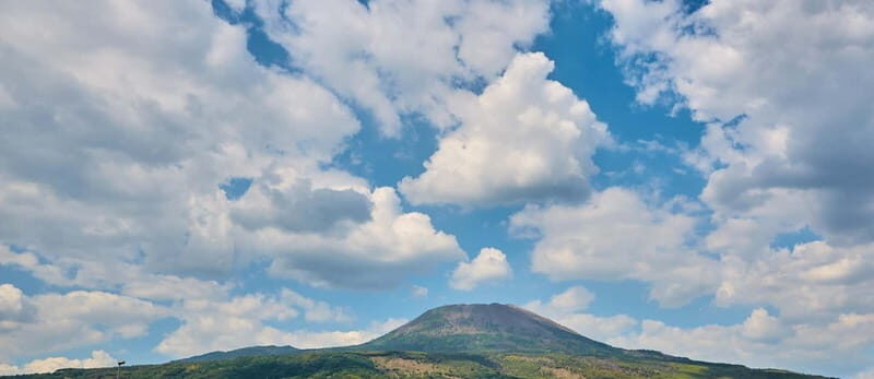 From Naples: Vesuvius Easy Tour - Price and Value: Why $51.24 Can Make Sense