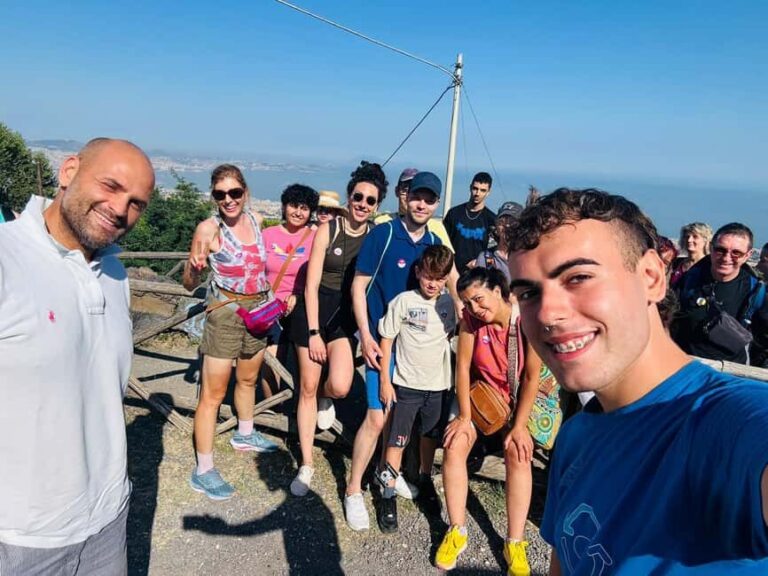 From Naples: Vesuvius Easy Tour - Naples Meeting Point: How to Get On the Right Minibus