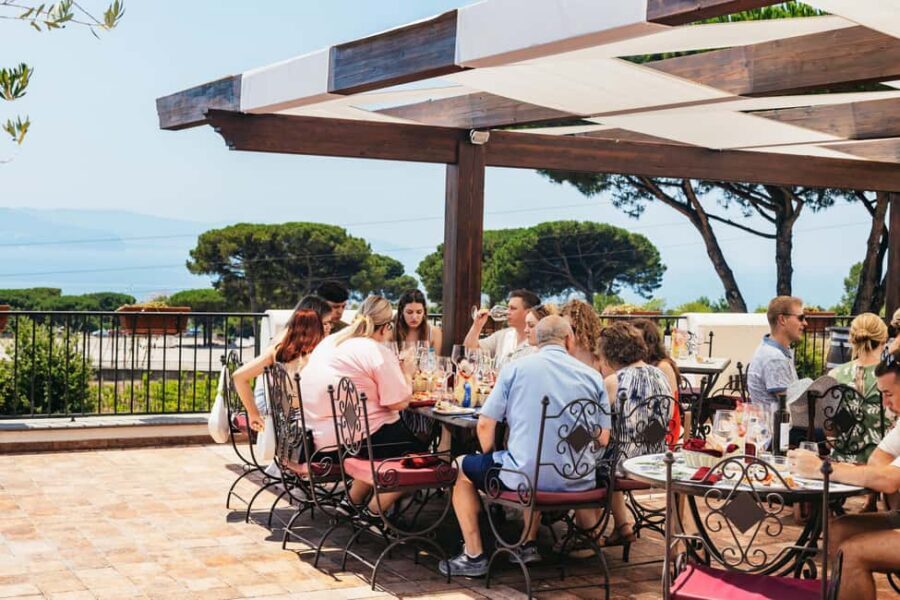 From Naples: Wine Tasting Tour on Vesuvius Slopes with Lunch - Naples to Vesuvius: how this 4-hour format gives you value