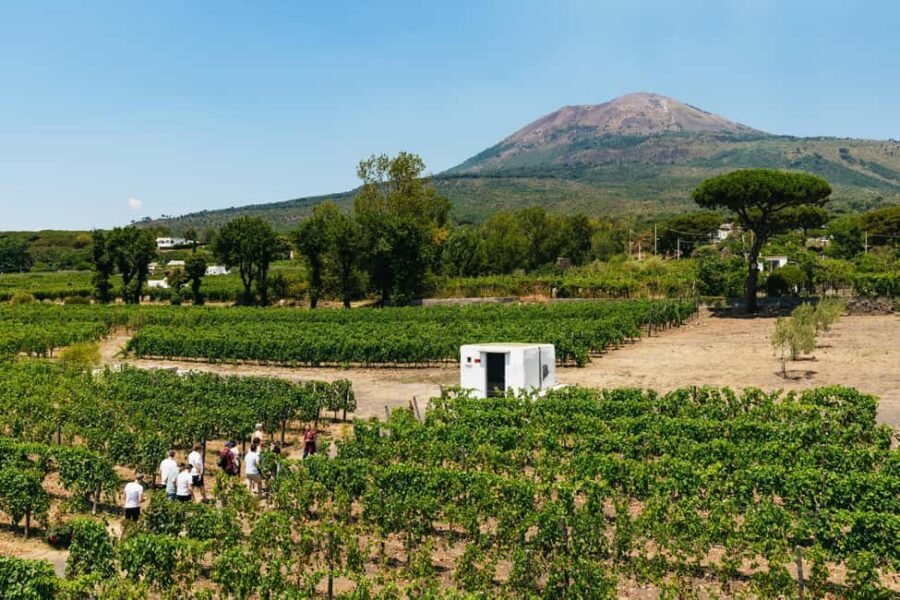 From Naples: Wine Tasting Tour on Vesuvius Slopes with Lunch - The bus ride: commentary plus sea-and-volcano scenery