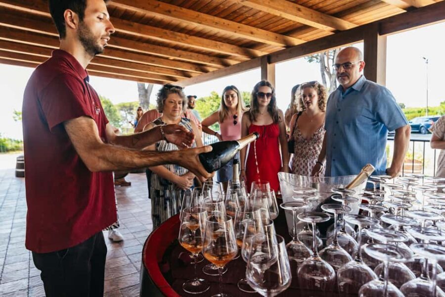 From Naples: Wine Tasting Tour on Vesuvius Slopes with Lunch - Vineyard tour on Vesuvius slopes: what you’ll learn and what you’ll do
