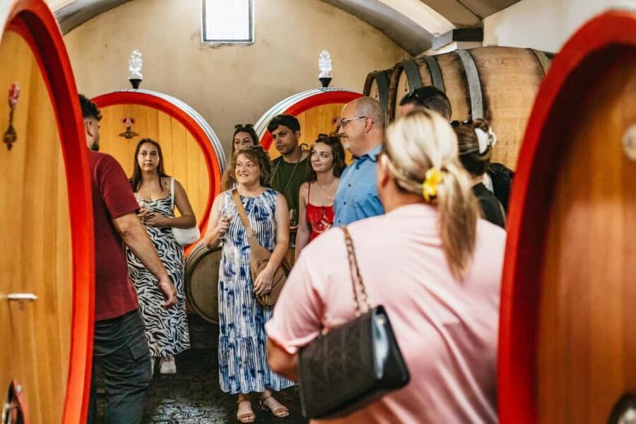 From Naples: Wine Tasting Tour on Vesuvius Slopes with Lunch - Which wines you’ll taste, plus what’s worth buying at the farm store