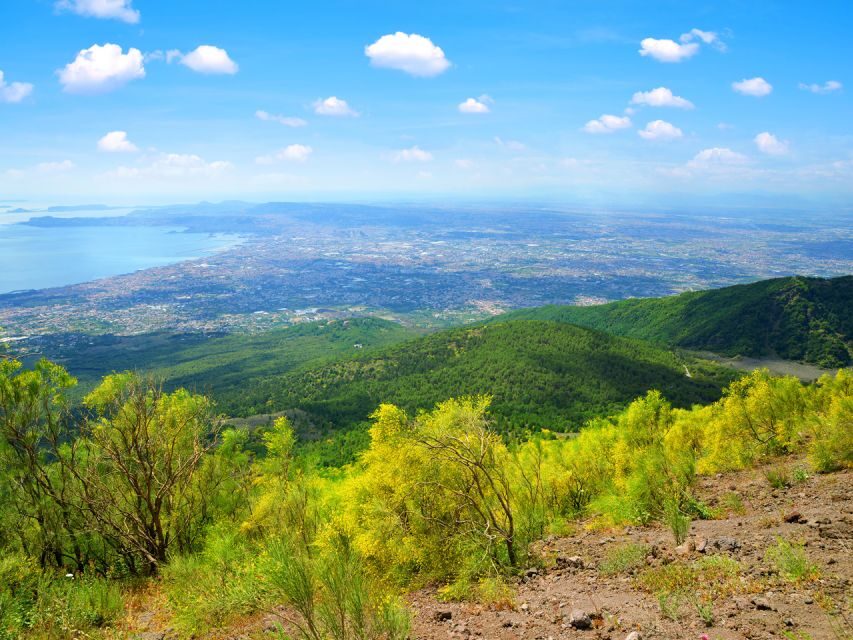From Pompeii: Bus Transfer to Vesuvius with Park Entry Fee - Key Highlights You’ll Care About