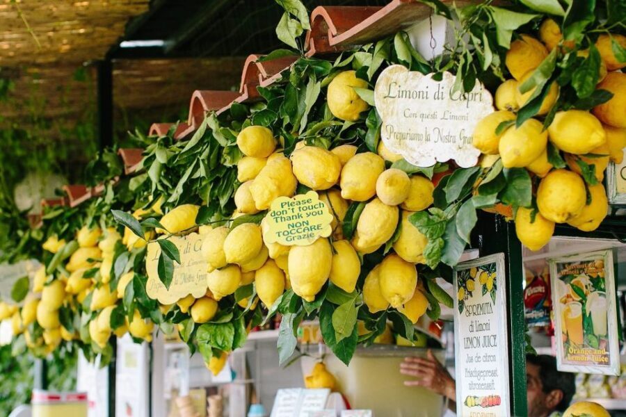 From Positano: Sorrento Coast & Capri Full-Day Trip by Boat - Price and Value: What You’re Really Paying For