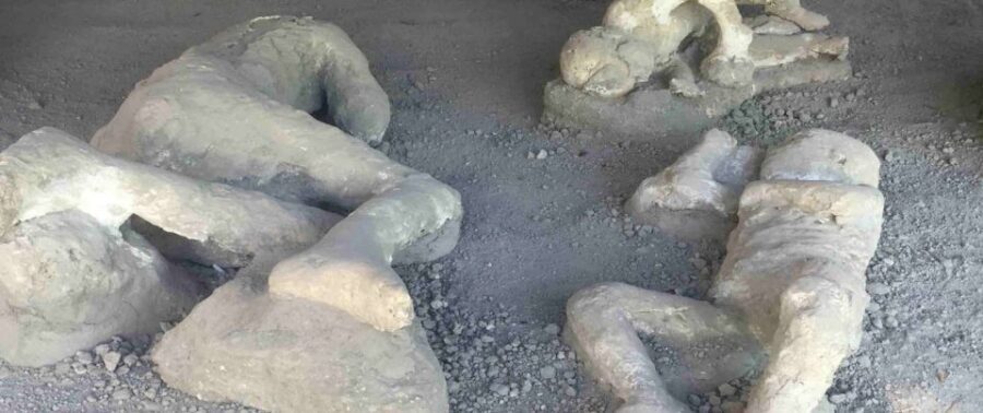 From Rome: Pompeii, Positano and Amalfi Full-Day Tour - Should you book this Pompeii and Amalfi day trip?
