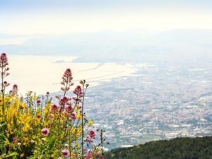 From Salerno: Vesuvius & Pompeii with audioguide - Getting on the bus in Salerno: meet-up spot and timing sanity