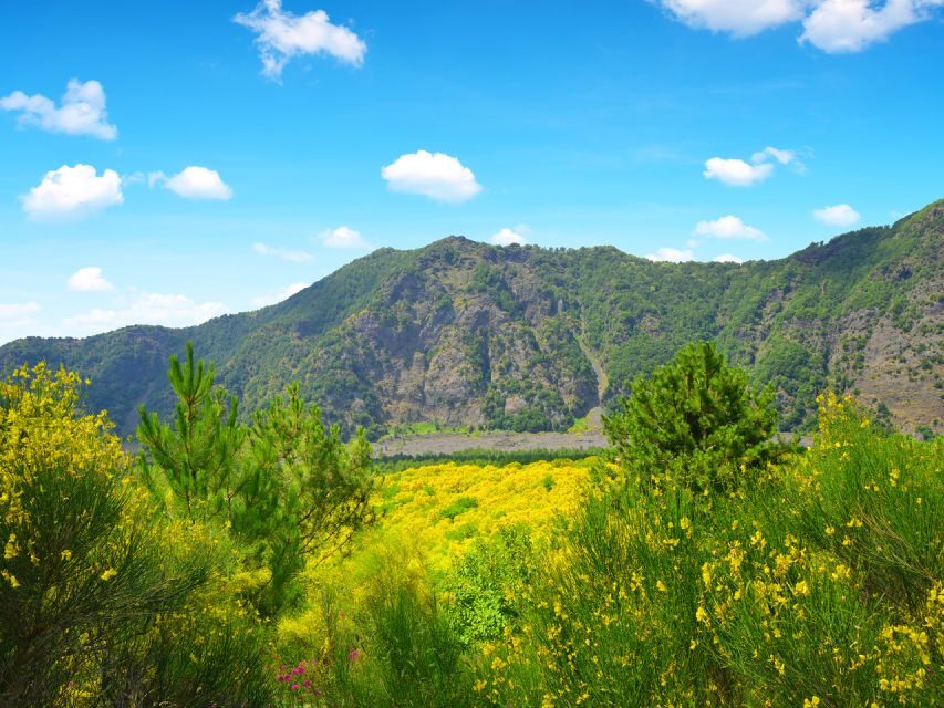 From Salerno: Vesuvius & Pompeii with audioguide - Value for money: what you’re really paying for