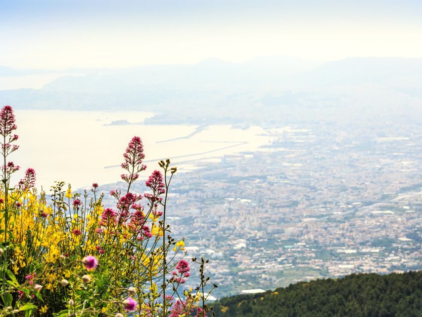 From Salerno: Vesuvius & Pompeii with audioguide - Getting on the bus in Salerno: meet-up spot and timing sanity