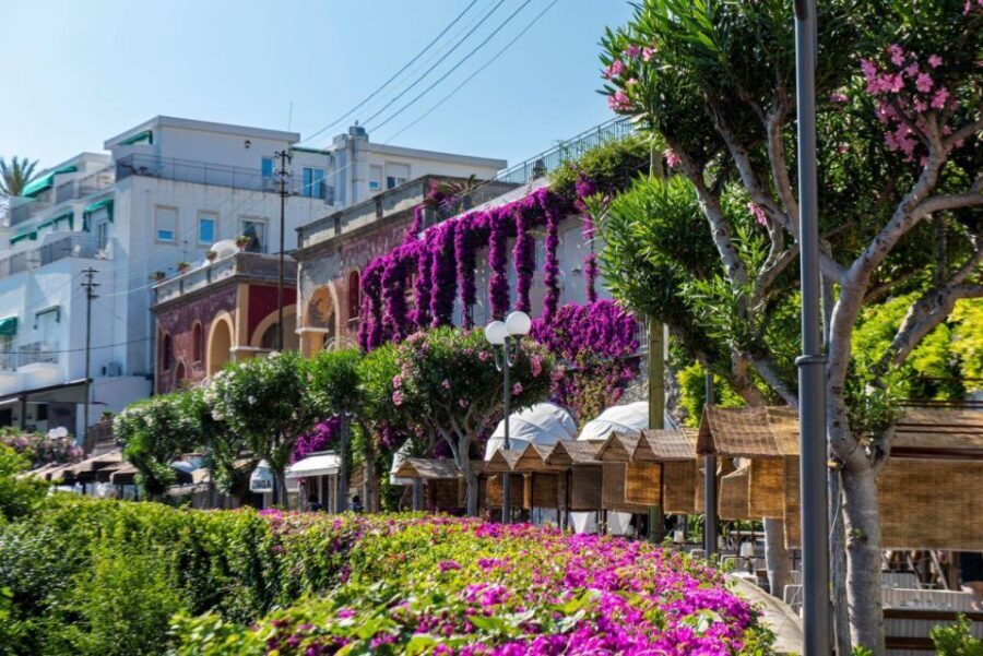 From Sorrento: Capri, Anacapri, & Blue Grotto Full-Day Trip - Who this tour suits best (and who should think twice)