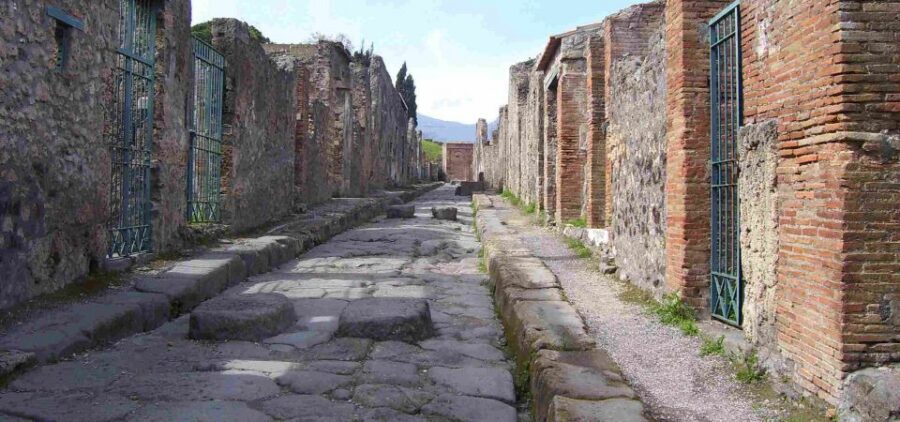 From Sorrento: Day Tour to Pompeii Ruins and Mount Vesuvius - Value and price: what you’re really paying for