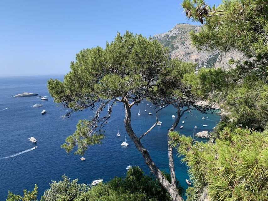 From Sorrento: Day Trip to Capri & Anacapri with Blue Grotto - Blue Grotto: The Steps, the Boat, and the Sea-Condition Reality