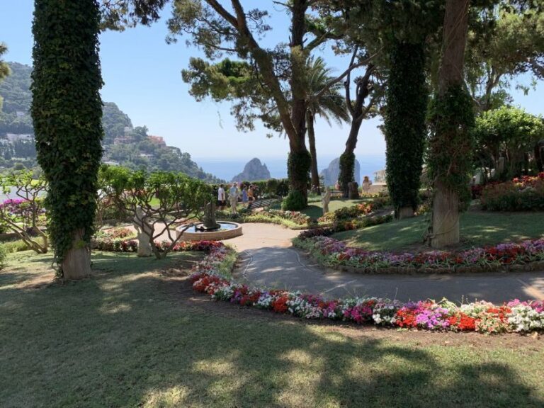 From Sorrento: Day Trip to Capri & Anacapri with Blue Grotto - The Speedboat Ride: Fast Views, Short Comfort Trade-Offs