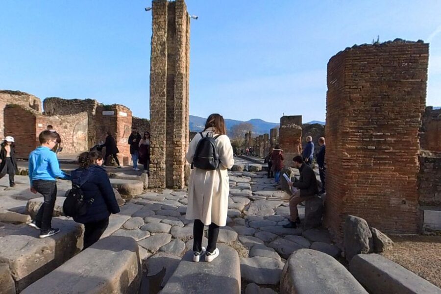 From Sorrento: Pompeii and Vesuvius Guided Tour with Lunch - Key things I’d bet on before you book