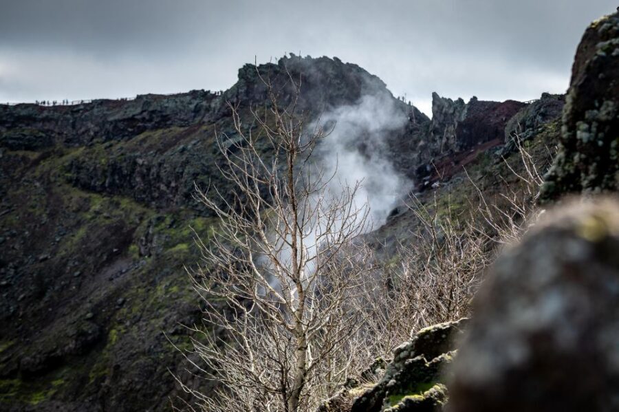 From Sorrento: Pompeii and Vesuvius Guided Tour with Lunch - Laying out the day: why 8.5 to 9 hours can feel tight
