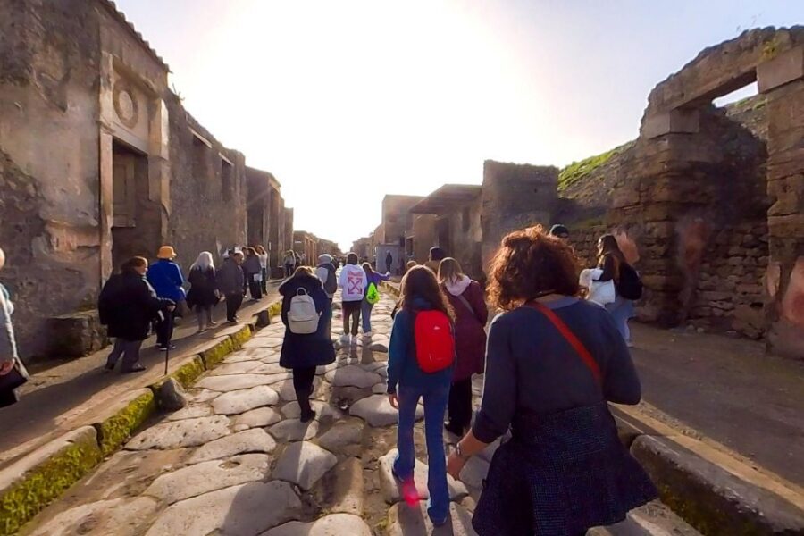 From Sorrento: Pompeii and Vesuvius Guided Tour with Lunch - Price and value: what about $130 gets you