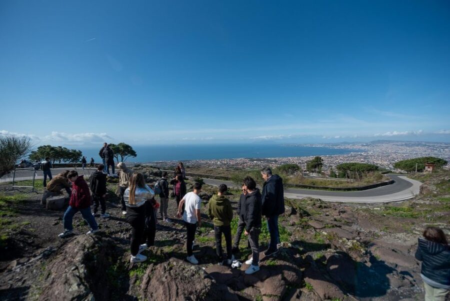 From Sorrento: Pompeii and Vesuvius Guided Tour with Lunch - Who this tour fits best