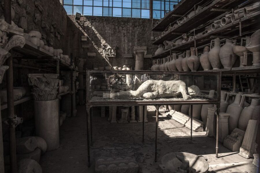 From Sorrento: Pompeii Half-Day Skip-the-Line Tour - Price and value: is $80.55 worth it?