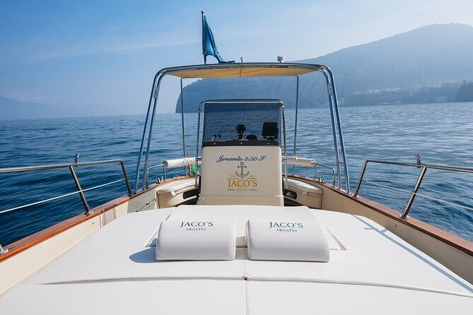 Full-Day Private Capri Boat Tour - Who this private Capri boat tour is best for