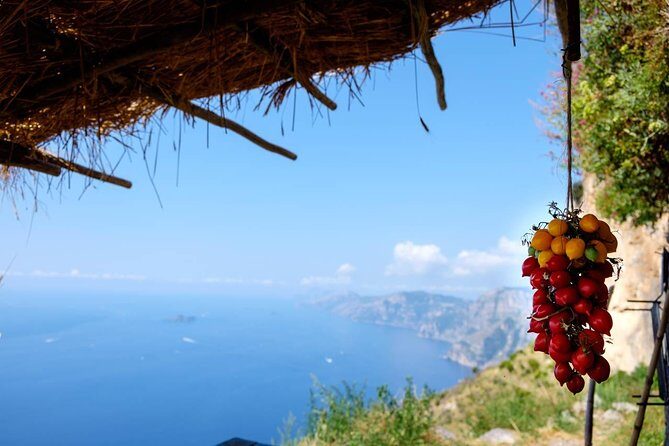 Guided Day Hike on the Path of the Gods with Sorrento Transfer - Key things you’ll notice on this hike