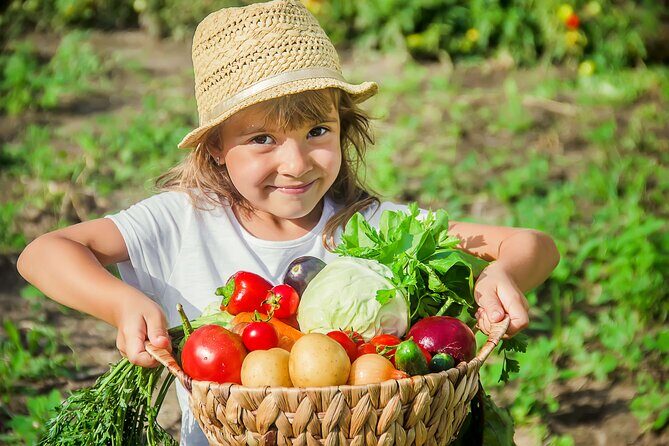 Hands-On Cooking Class & Farmhouse Tour on the Amalfi Coast - Key Highlights Worth Booking