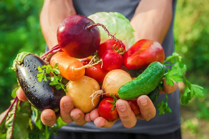 Hands-On Cooking Class & Farmhouse Tour on the Amalfi Coast - Your Amalfi Day Begins in Terraced Gardens, Not a Classroom