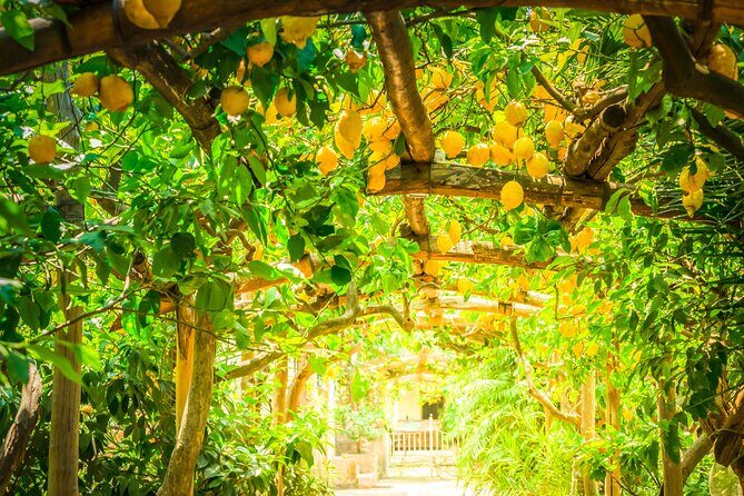 Hands-On Cooking Class & Farmhouse Tour on the Amalfi Coast - Lunch at the End: Home-Style, Multi-Course, and Meant to Be Enjoyed