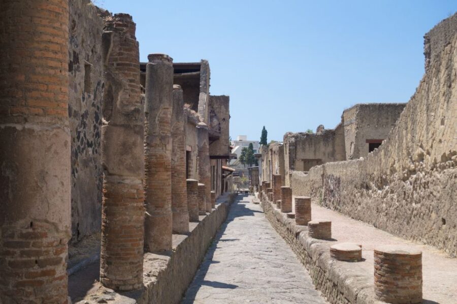 Herculaneum 2-Hour Private Guided Tour - The eruption story: Vesuvius explained as you walk