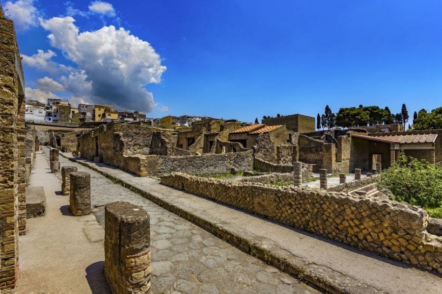 Herculaneum 2-Hour Private Guided Tour - Languages and communication: you can match your comfort