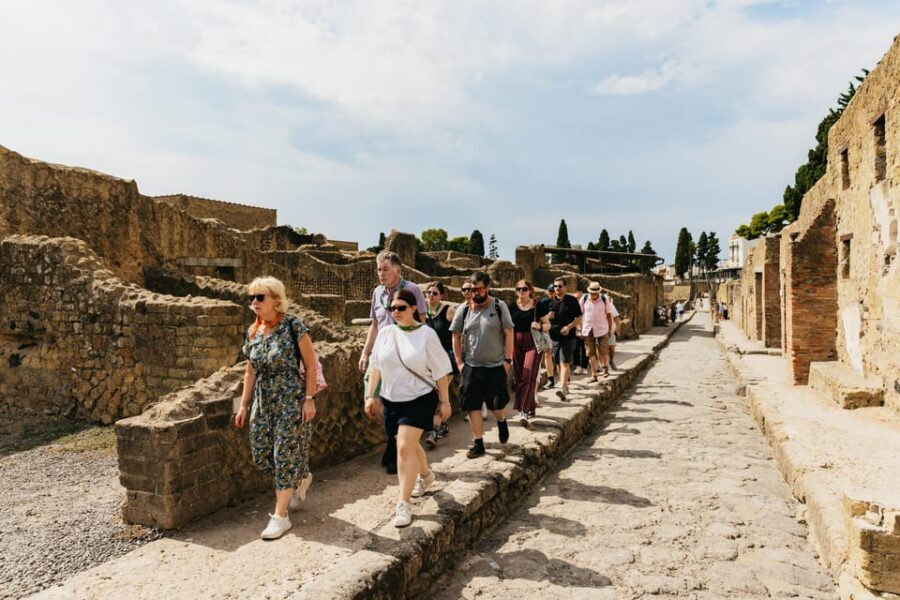 Herculaneum: Skip-the-Line Guided Tour with Archaeologist - Skip-the-Line Entry at Herculaneum Ruins: less waiting, more seeing