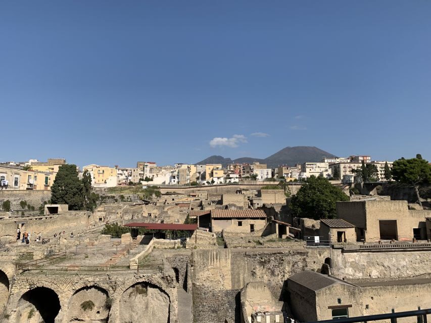 Herculaneum: Tickets & Tour with a Local Archaeologist - Two Hours and the $58 Value Check