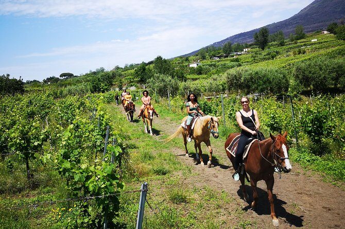Horseback Riding on Vesuvius - Why ride Vesuvius without trying to reach the crater rim?