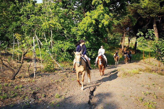 Horseback Riding on Vesuvius - Price and value: what $78.64 gets you in the real world