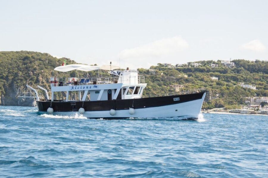 Ischia: Island Boat Tour with Neapolitan Lunch & Snorkeling - Who this boat tour suits best (and who should skip it)