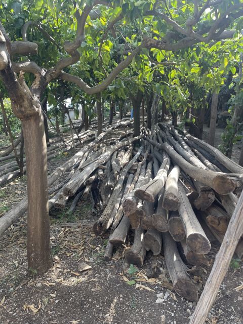 Maiori: Amalfi Coast Path of Lemons Day Trip with Tastings - Finishing in Minori: how the day comes down easy