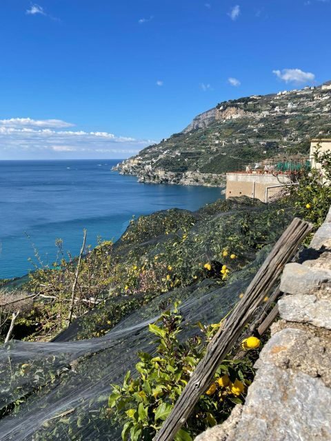 Maiori: Amalfi Coast Path of Lemons Day Trip with Tastings - Belvedere Mortella: where the coast really opens up