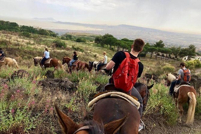 Mount Vesuvius Guided Horse Riding Tour with Sample Wine - Should You Book This Mount Vesuvius Horse Riding Tour With Wine?