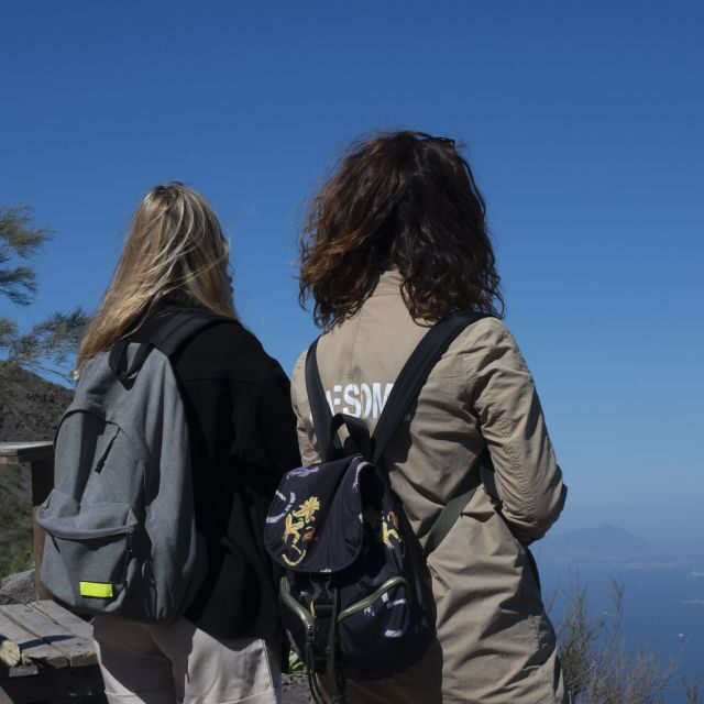 Mount Vesuvius: Skip-the-Line Ticket and Smart Digital Guide - Skip-the-line entry plus a self-paced Vesuvius walk