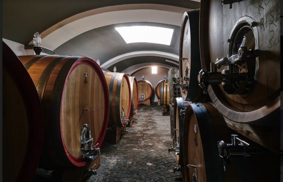 Mount Vesuvius: Vineyard Tour with Wine Tasting and Lunch - Who This Tour Fits Best (And Who Should Skip)