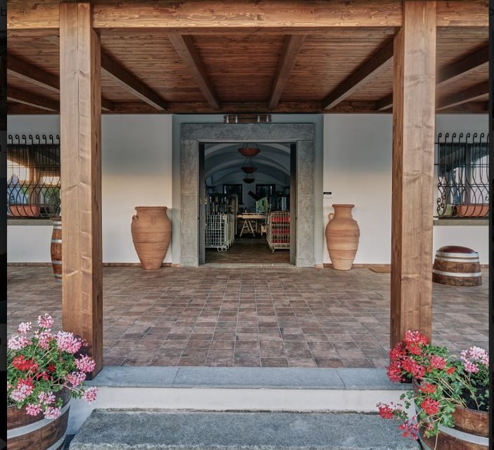 Mount Vesuvius: Vineyard Tour with Wine Tasting and Lunch - Arriving on the Slopes: What the Start Feels Like