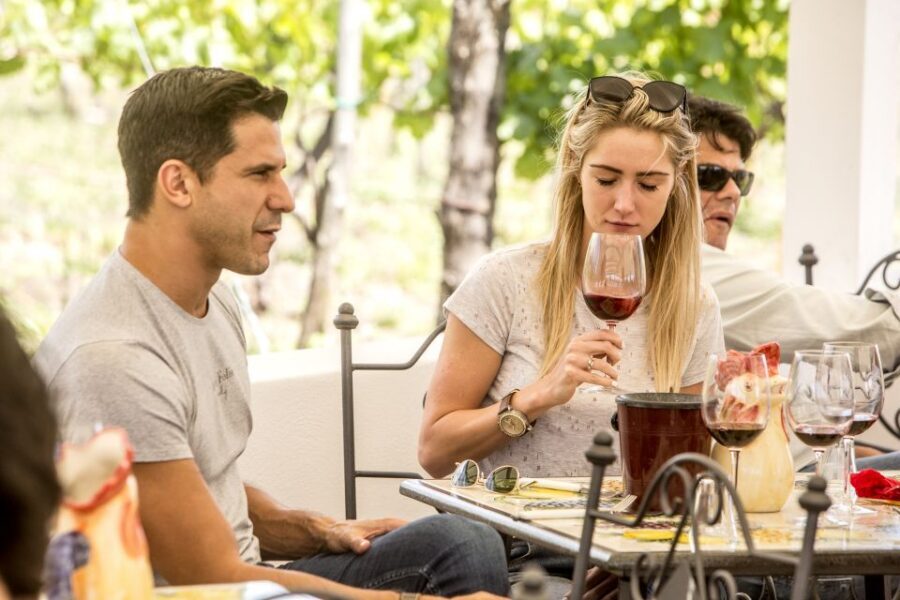 Mount Vesuvius: Vineyard Tour with Wine Tasting and Lunch - Vineyard and Winery Tour: A Traditional Estate in Action