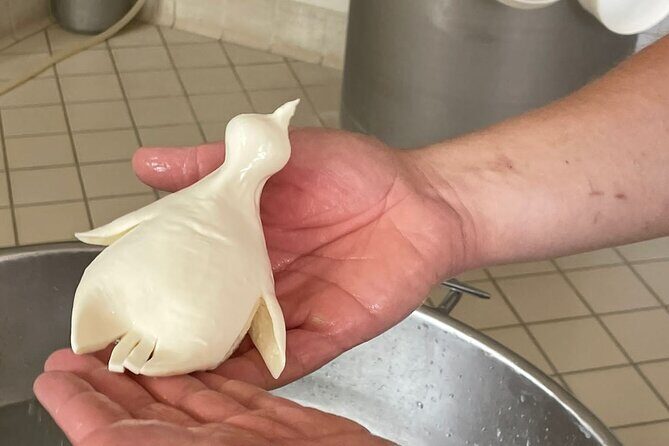 Mozzarella Experience with Tasting in Vico Equense - Why This Mozzarella Class in Vico Equense Works as a Sorrento Break