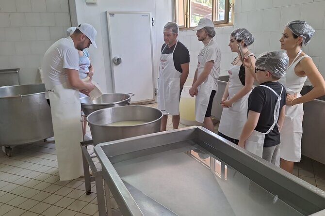 Mozzarella Experience with Tasting in Vico Equense - Making Mozzarella: Hands-On Shaping and a Friendly Pace