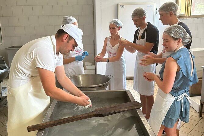 Mozzarella Experience with Tasting in Vico Equense - In the Laboratory: How the Curd Process Becomes Real
