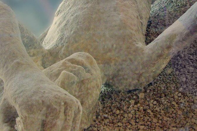 Mt Vesuvius and Pompeii Tour by Bus from Sorrento - What to Pack for Pompeii and the Rocky Steps to the Crater