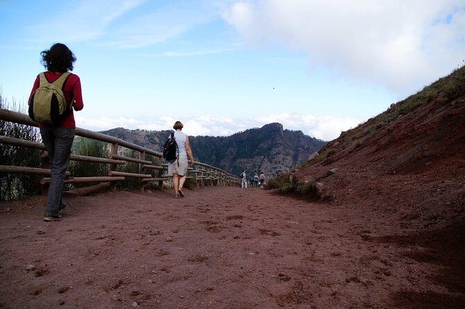 Mt Vesuvius and Pompeii Tour by Bus from Sorrento - Should You Book This Mt Vesuvius and Pompeii Tour from Sorrento?