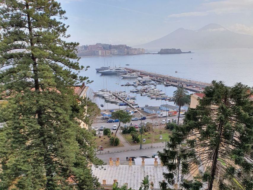 Naples: Naples, Pompeii, and Vesuvius Full-Day Tour - Pompeii without the fog: Forum, thermal baths, House of the Vettii, and the Lupanar