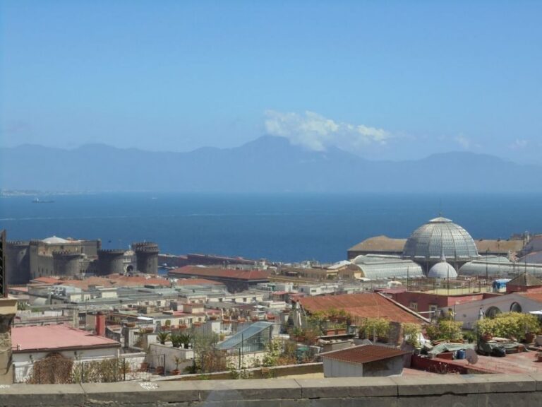 Naples: Naples, Pompeii, and Vesuvius Full-Day Tour - Naples city tour stops: Piazza del Municipio, Castel Nuovo, and the views from Posillipo