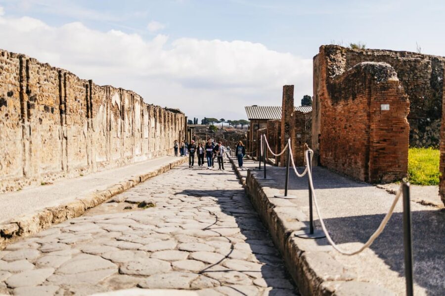 Naples: Pompeii and Mt. Vesuvius with Lunch and Wine Tasting - Key highlights worth waking up for