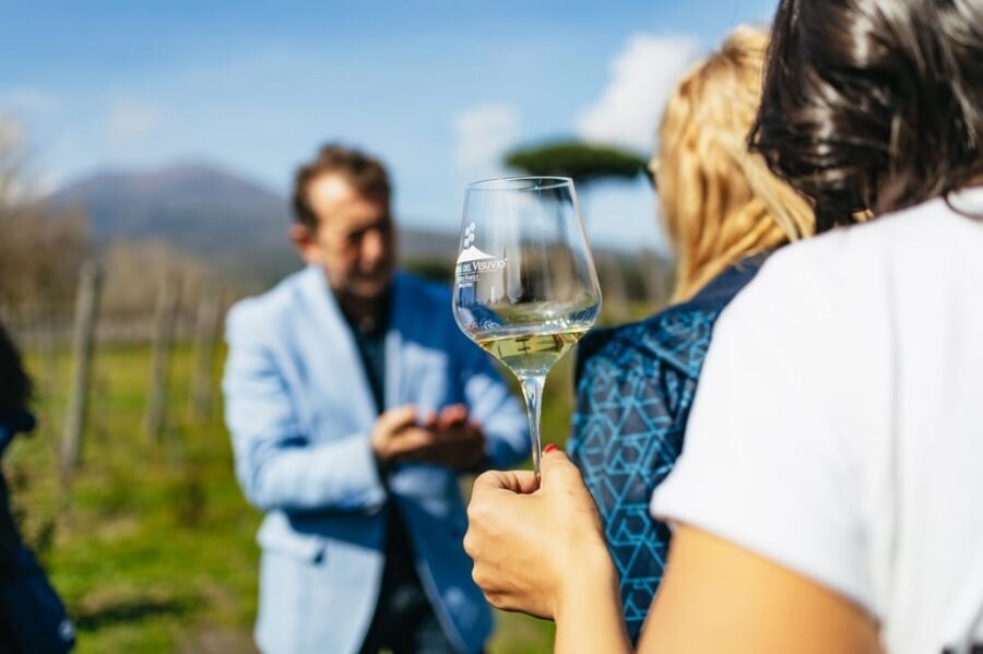 Naples: Pompeii and Mt. Vesuvius with Lunch and Wine Tasting - Naples pickup and a day plan that actually flows