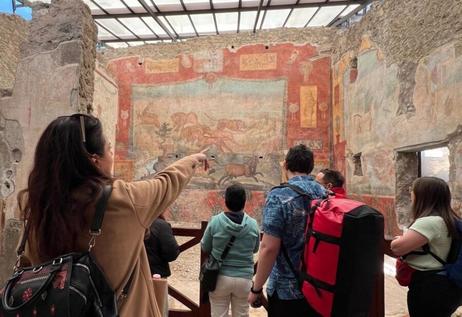 Naples: Pompeii & Mt. Vesuvius Day Trip with Tickets & Lunch - Key takeaways